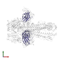 Light chain of Fab 2-2-1G06 in PDB entry 8tpa, assembly 1, front view.