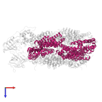 Allophycocyanin alpha chain in PDB entry 8tpj, assembly 1, top view.