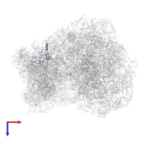 40S ribosomal protein S26 in PDB entry 8tpu, assembly 1, top view.