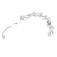 The deposited structure of PDB entry 8tqw contains 1 copy of Pfam domain PF22984 (Mediator of RNA polymerase II transcription subunit 14, RM6) in Mediator of RNA polymerase II transcription subunit 14. Showing 1 copy in chain O [auth N].