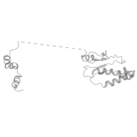 The deposited structure of PDB entry 8tqw contains 1 copy of Pfam domain PF09606 (ARC105/Med15 mediator subunit N-terminal KIX domain) in Mediator of RNA polymerase II transcription subunit 15. Showing 1 copy in chain P [auth O] (this domain is out of the observed residue ranges!).