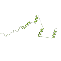 The deposited structure of PDB entry 8tqw contains 1 copy of Pfam domain PF10278 (Mediator of RNA pol II transcription subunit 19 ) in Mediator of RNA polymerase II transcription subunit 19. Showing 1 copy in chain T [auth S].