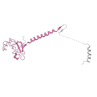 The deposited structure of PDB entry 8tqw contains 1 copy of Pfam domain PF04934 (MED6 mediator sub complex component) in Mediator of RNA polymerase II transcription subunit 6. Showing 1 copy in chain I [auth F].