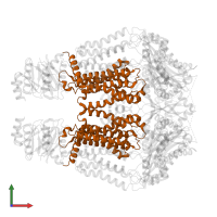 Transport permease protein in PDB entry 8tsw, assembly 1, front view.