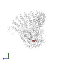 Modified residue 2RX in PDB entry 8ttb, assembly 1, side view.