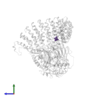 Modified residue MLL in PDB entry 8ttb, assembly 1, side view.