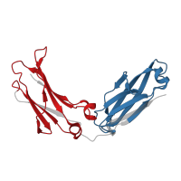 The deposited structure of PDB entry 8tud contains 2 copies of Pfam domain PF07654 (Immunoglobulin C1-set domain) in Immunoglobulin gamma-1 heavy chain. Showing 2 copies in chain A.