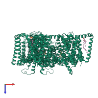 Homo trimeric assembly 1 of PDB entry 8tz7 coloured by chemically distinct molecules, top view.