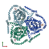 PDB entry 8tz7 coloured by chain, front view.