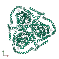 Sodium/nucleoside cotransporter in PDB entry 8tz7, assembly 1, front view.