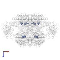 INOSINIC ACID in PDB entry 8u7q, assembly 1, top view.