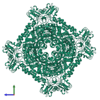 Inosine-5'-monophosphate dehydrogenase 1 in PDB entry 8u8o, assembly 1, side view.