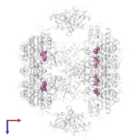 INOSINIC ACID in PDB entry 8u8o, assembly 1, top view.