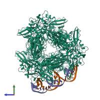 Hetero octameric assembly 1 of PDB entry 8ud5 coloured by chemically distinct molecules, side view.