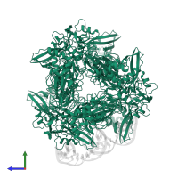 Uridylate-specific endoribonuclease nsp15 in PDB entry 8ud5, assembly 1, side view.