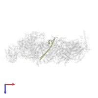 NADH dehydrogenase [ubiquinone] 1 alpha subcomplex subunit 13 in PDB entry 8uep, assembly 1, top view.