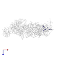 NADH dehydrogenase [ubiquinone] 1 beta subcomplex subunit 3 in PDB entry 8uer, assembly 1, top view.