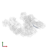 Cytochrome c oxidase subunit 7A1, mitochondrial in PDB entry 8ugh, assembly 1, front view.