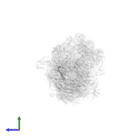 Cytochrome c oxidase subunit 7A1, mitochondrial in PDB entry 8ugh, assembly 1, side view.