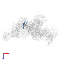 NADH-ubiquinone oxidoreductase chain 6 in PDB entry 8ugi, assembly 1, top view.