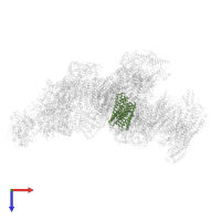 NADH-ubiquinone oxidoreductase chain 4 in PDB entry 8ugi, assembly 1, top view.