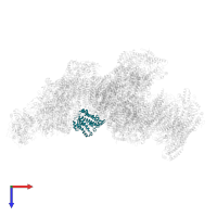 NADH dehydrogenase [ubiquinone] 1 alpha subcomplex subunit 10, mitochondrial in PDB entry 8ugi, assembly 1, top view.