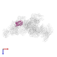NADH dehydrogenase [ubiquinone] 1 alpha subcomplex subunit 9, mitochondrial in PDB entry 8ugi, assembly 1, top view.