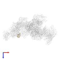 NADH dehydrogenase [ubiquinone] 1 alpha subcomplex subunit 2 in PDB entry 8ugi, assembly 1, top view.