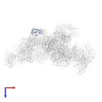 NADH dehydrogenase [ubiquinone] 1 alpha subcomplex subunit 8 in PDB entry 8ugi, assembly 1, top view.