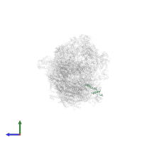 NADH dehydrogenase [ubiquinone] 1 alpha subcomplex subunit 1 in PDB entry 8ugi, assembly 1, side view.