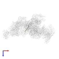 NADH dehydrogenase [ubiquinone] 1 subunit C1, mitochondrial in PDB entry 8ugi, assembly 1, top view.