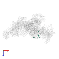 NADH dehydrogenase [ubiquinone] 1 beta subcomplex subunit 6 in PDB entry 8ugi, assembly 1, top view.