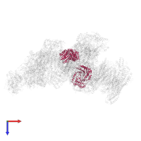 Cytochrome b-c1 complex subunit 1, mitochondrial in PDB entry 8ugi, assembly 1, top view.