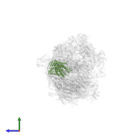 Cytochrome c oxidase subunit 1 in PDB entry 8ugi, assembly 1, side view.