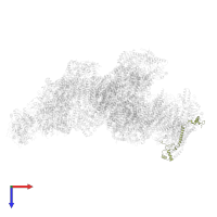 Cytochrome c oxidase subunit 4 in PDB entry 8ugi, assembly 1, top view.