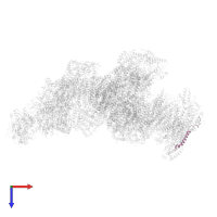 Cytochrome c oxidase subunit 7B, mitochondrial in PDB entry 8ugi, assembly 1, top view.
