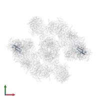 NADH dehydrogenase [ubiquinone] 1 alpha subcomplex subunit 8 in PDB entry 8ugn, assembly 1, front view.