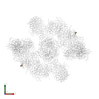 NADH dehydrogenase [ubiquinone] 1 subunit C1, mitochondrial in PDB entry 8ugn, assembly 1, front view.