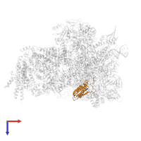 DNA-directed RNA polymerase RBP11-like dimerisation domain-containing protein in PDB entry 8ui0, assembly 1, top view.