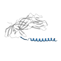 The deposited structure of PDB entry 8uk2 contains 3 copies of Pfam domain PF17478 (Rotavirus VP4 helical domain) in Outer capsid protein VP4. Showing 1 copy in chain A [auth 1].