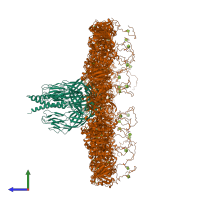 Hetero 21-meric assembly 1 of PDB entry 8uk2 coloured by chemically distinct molecules, side view.