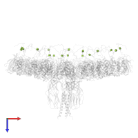 2-acetamido-2-deoxy-beta-D-glucopyranose in PDB entry 8uk2, assembly 1, top view.