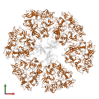 Outer capsid glycoprotein VP7 in PDB entry 8uk3, assembly 1, front view.