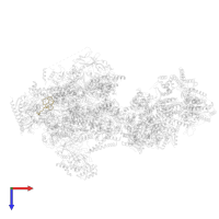 DNA-directed RNA polymerases I, II, and III subunit RPABC4 in PDB entry 8uoq, assembly 1, top view.