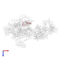 Transcription initiation factor IIA subunit 2 in PDB entry 8uoq, assembly 1, top view.