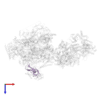 DNA-directed RNA polymerase II subunit RPB7 in PDB entry 8uoq, assembly 1, top view.