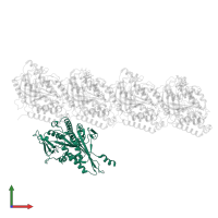 Kinesin-like protein KIF1A in PDB entry 8utq, assembly 1, front view.