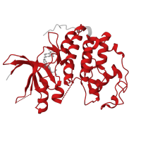 The deposited structure of PDB entry 8uv0 contains 1 copy of Pfam domain PF00069 (Protein kinase domain) in Cyclin-dependent kinase 2. Showing 1 copy in chain A.