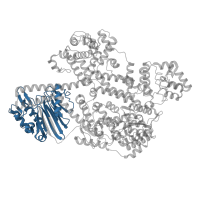 The deposited structure of PDB entry 8uw3 contains 1 copy of Pfam domain PF03372 (Endonuclease/Exonuclease/phosphatase family) in LINE-1 retrotransposable element ORF2 protein. Showing 1 copy in chain A.