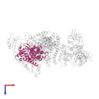 DNA primase in PDB entry 8v6i, assembly 1, top view.